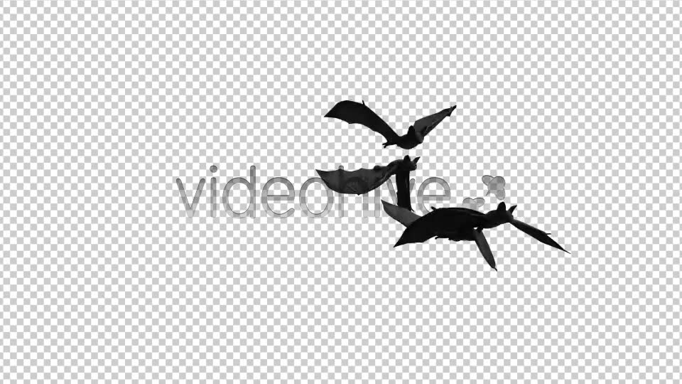 Creepy Bats Transitions Videohive 2907913 Motion Graphics Image 2