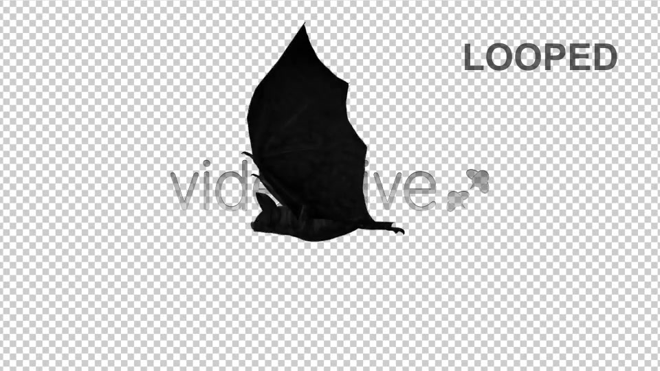 Creepy Bats Transitions Videohive 2907913 Motion Graphics Image 8