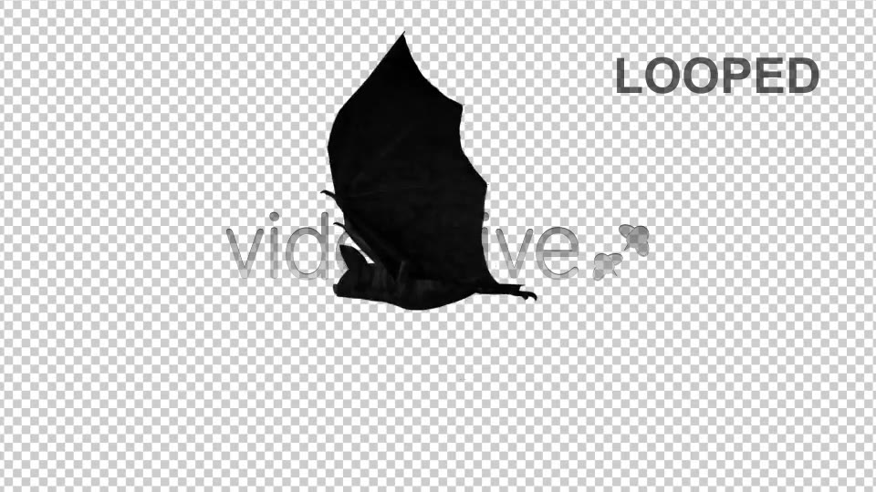 Creepy Bats Transitions Videohive 2907913 Motion Graphics Image 9