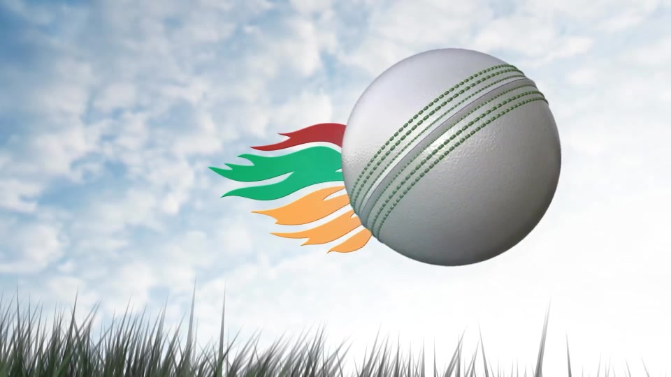 Cricket Logo Videohive 20466580 After Effects Image 11