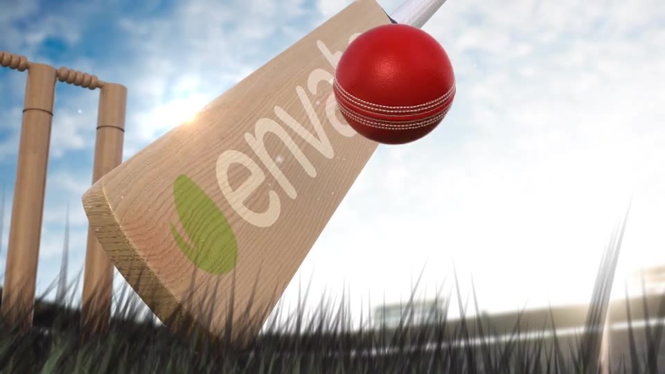 cricket bat and ball logo