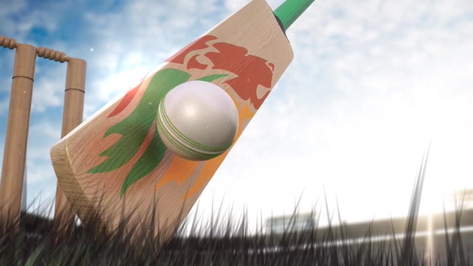 Cricket Logo Videohive 20466580 After Effects Image 9