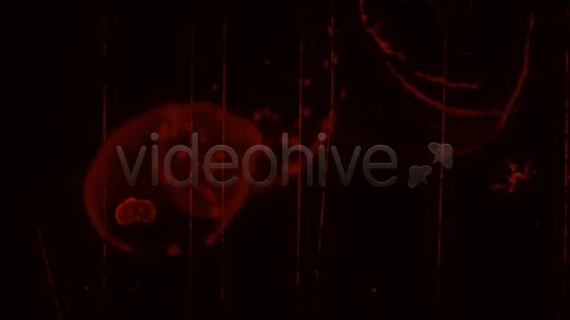 Crime Film Noise Videohive 303433 Motion Graphics Image 1