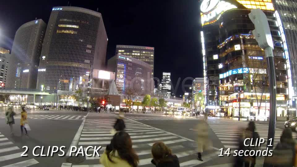 Crosswalk, Pedestrian Walking Street (2 Pack)  Videohive 6458542 Stock Footage Image 1
