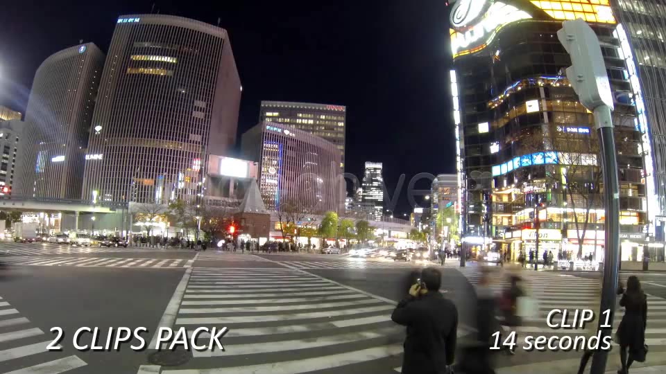 Crosswalk, Pedestrian Walking Street (2 Pack)  Videohive 6458542 Stock Footage Image 3
