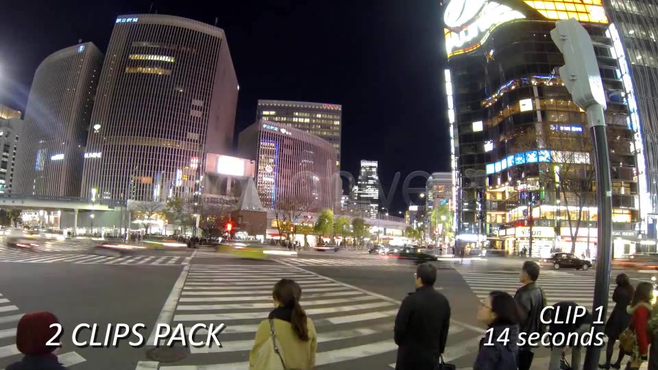 Crosswalk, Pedestrian Walking Street (2 Pack)  Videohive 6458542 Stock Footage Image 4