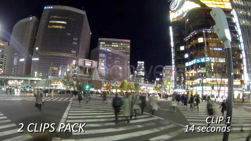 Crosswalk, Pedestrian Walking Street (2 Pack)  Videohive 6458542 Stock Footage Image 5