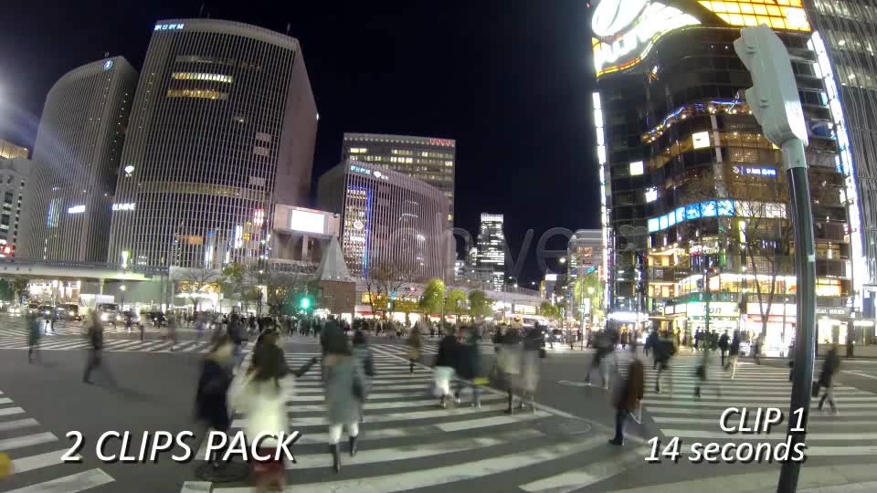 Crosswalk, Pedestrian Walking Street (2 Pack)  Videohive 6458542 Stock Footage Image 7