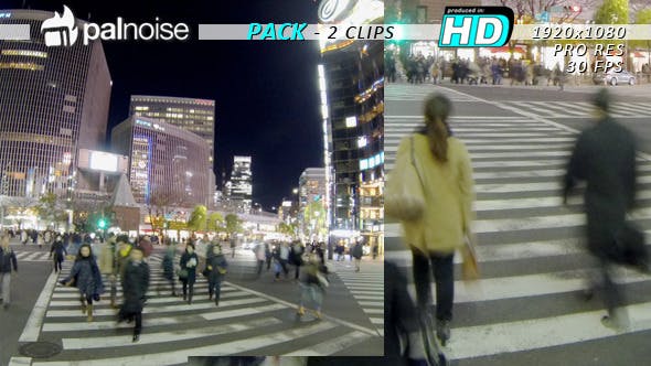 Crosswalk, Pedestrian Walking Street (2 Pack)  - Download 6458542 Videohive