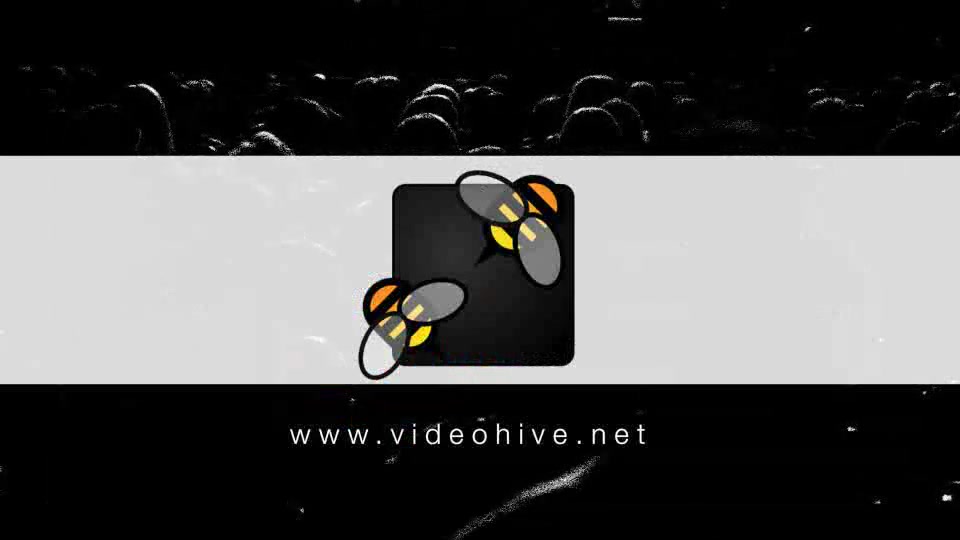Crowd Concert Videohive 5741070 Apple Motion Image 12
