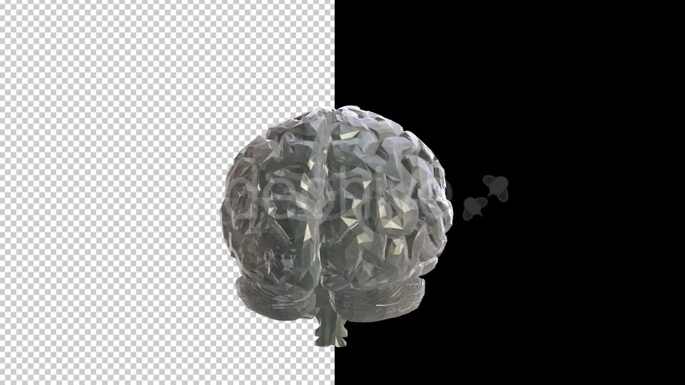 Crystal Glass Brain - Download Videohive 20709463