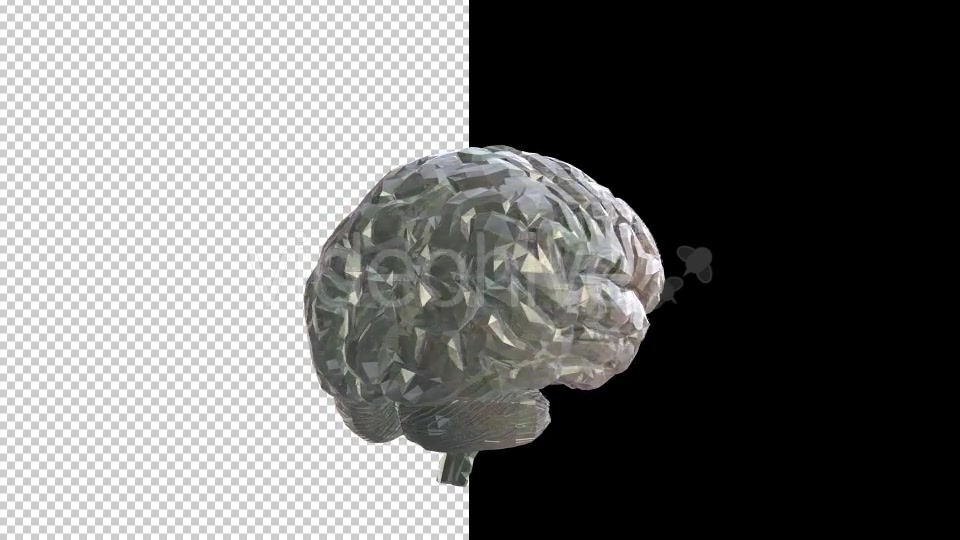 Crystal Glass Brain - Download Videohive 20709463