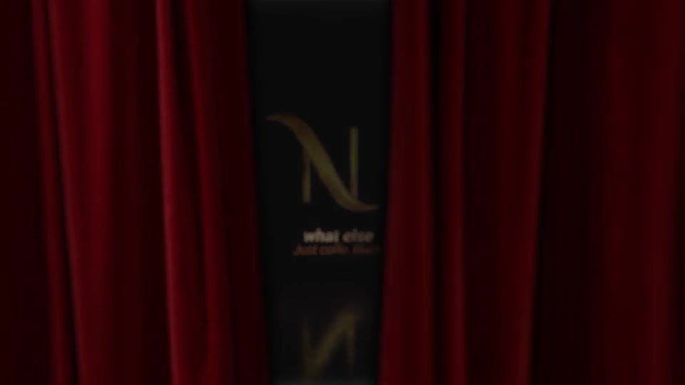 Curtain Cinema Logo Reveal Videohive 23866542 After Effects Image 3
