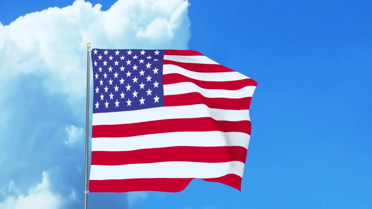 Custom Flags Videohive 27180636 After Effects Image 7