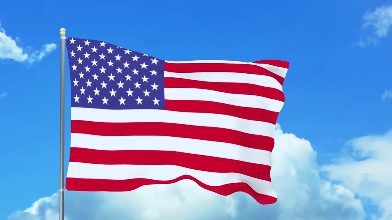Custom Flags Videohive 27180636 After Effects Image 8