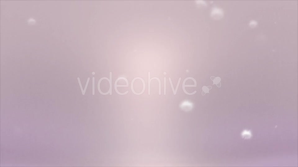 Dandelion Puffballs Background - Download Videohive 18291808
