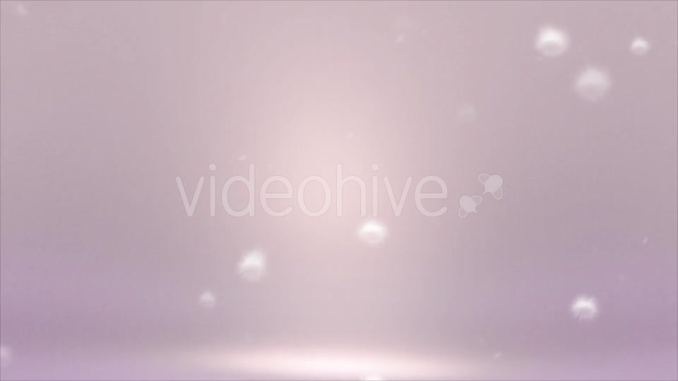 Dandelion Puffballs Background - Download Videohive 18291808