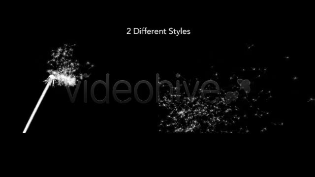 Dandelion Seeds Fall Off Silhouette 2 Styles - Download Videohive 5027658