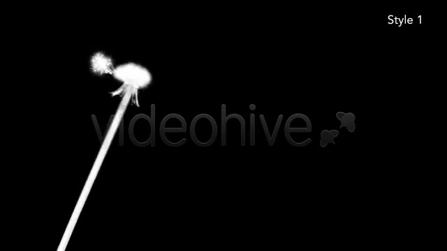 Dandelion Seeds Fall Off Silhouette 2 Styles - Download Videohive 5027658