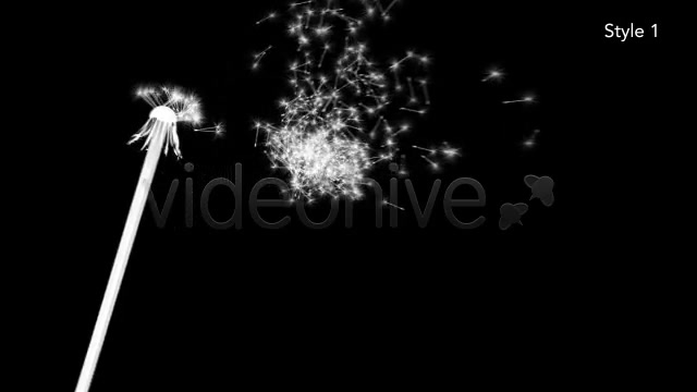 Dandelion Seeds Fall Off Silhouette 2 Styles - Download Videohive 5027658