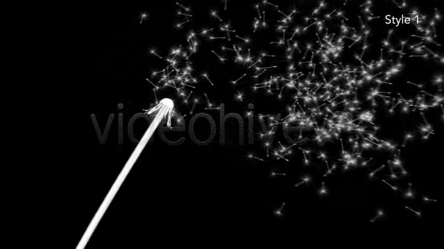 Dandelion Seeds Fall Off Silhouette 2 Styles - Download Videohive 5027658