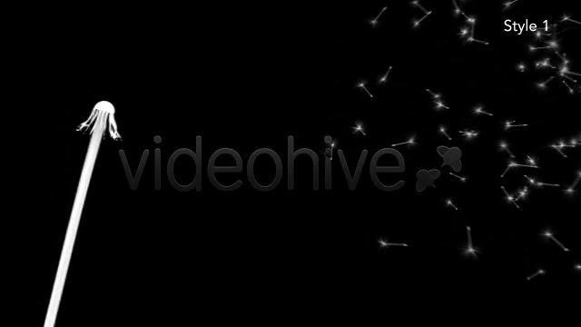 Dandelion Seeds Fall Off Silhouette 2 Styles - Download Videohive 5027658