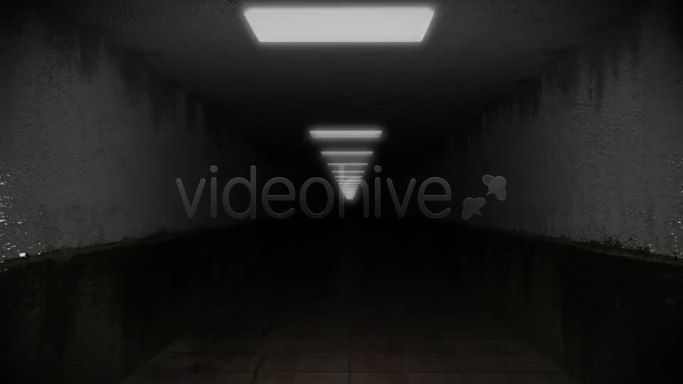 Dark and Creepy Horror Corridor Videohive 2609476 Motion Graphics Image 1