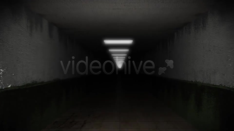 Dark and Creepy Horror Corridor Videohive 2609476 Motion Graphics Image 2