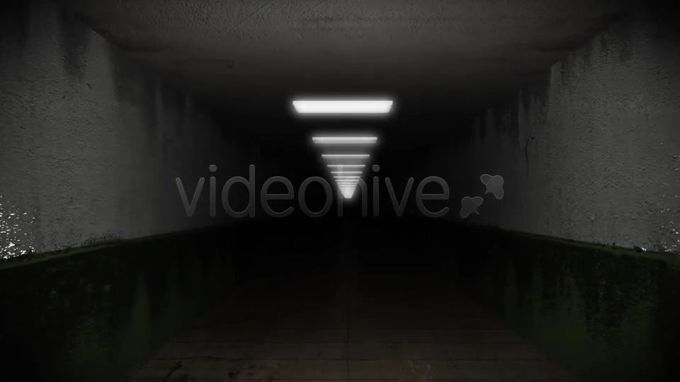Dark and Creepy Horror Corridor Videohive 2609476 Motion Graphics Image 3