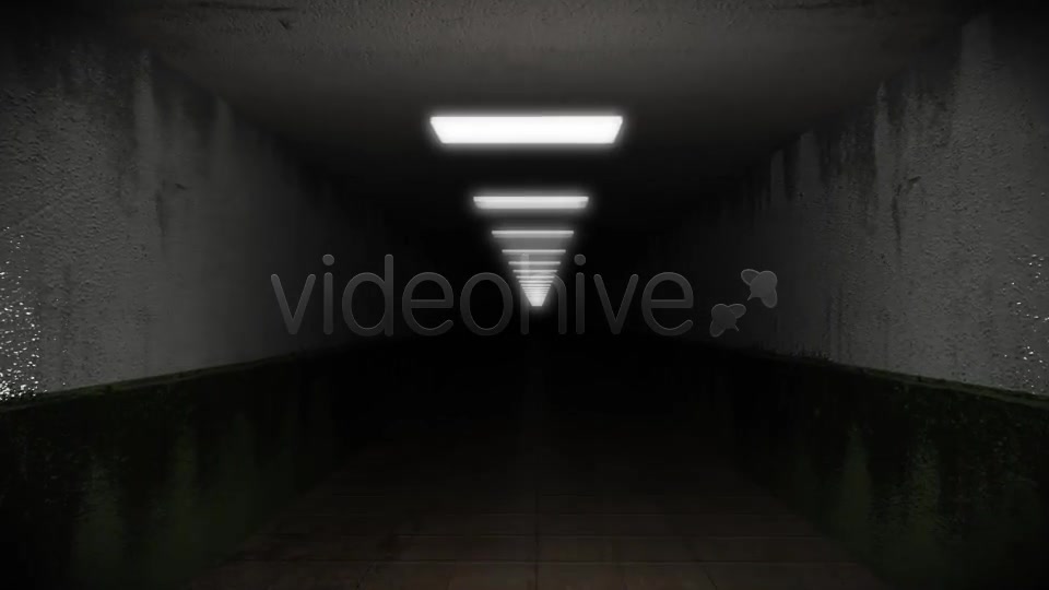 Dark and Creepy Horror Corridor Videohive 2609476 Motion Graphics Image 4