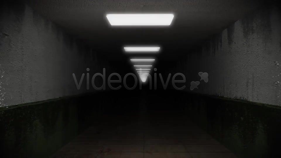 Dark and Creepy Horror Corridor Videohive 2609476 Motion Graphics Image 5