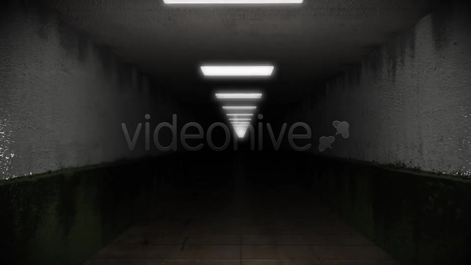 Dark and Creepy Horror Corridor Videohive 2609476 Motion Graphics Image 6