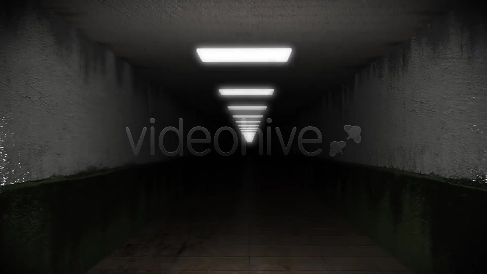 Dark and Creepy Horror Corridor Videohive 2609476 Motion Graphics Image 7
