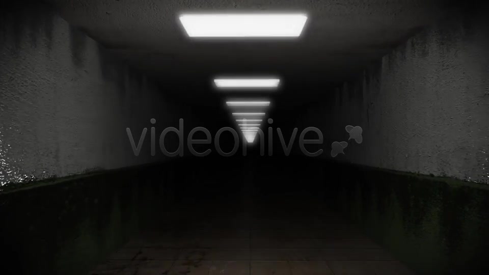 Dark and Creepy Horror Corridor Videohive 2609476 Motion Graphics Image 8