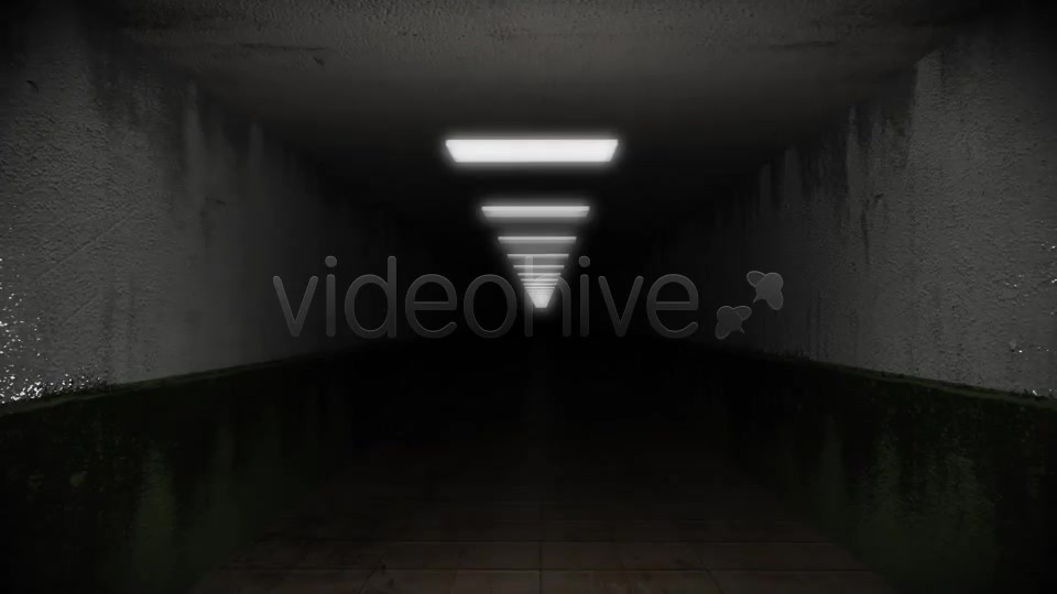 Dark and Creepy Horror Corridor Videohive 2609476 Motion Graphics Image 9