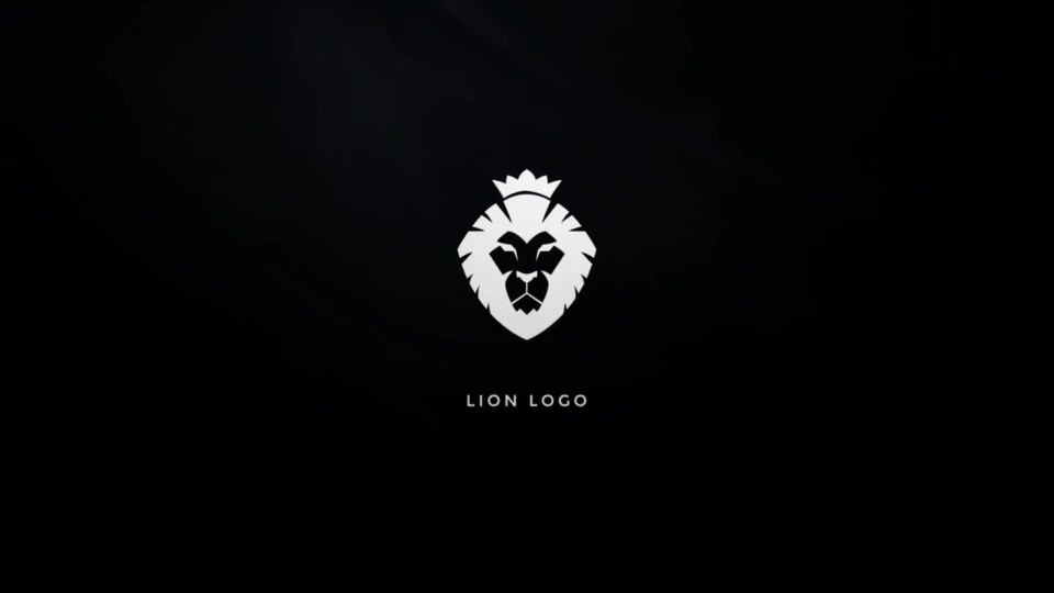 Dark And Light Logo - Download Videohive 19981839