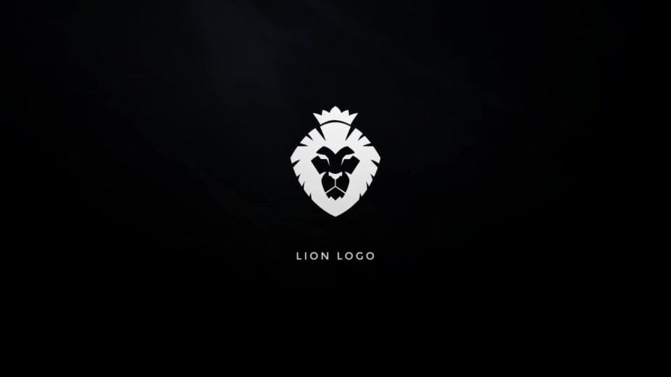 Dark And Light Logo - Download Videohive 19981839