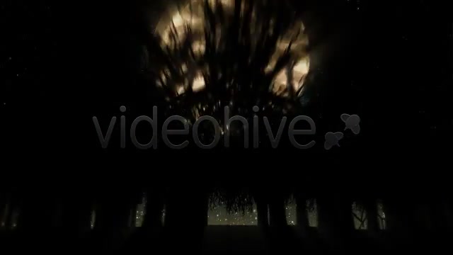 Dark Wood - Download Videohive 97362