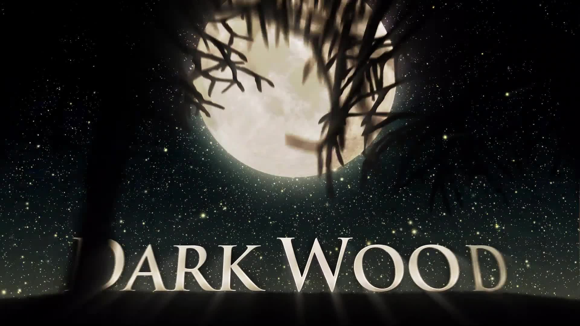 Dark Wood (Mogrt) Videohive 25586218 Premiere Pro Image 7