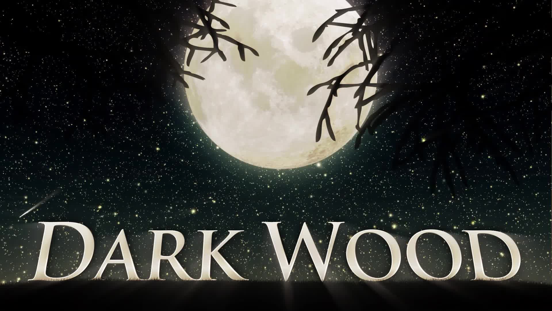 Dark Wood (Mogrt) Videohive 25586218 Premiere Pro Image 8