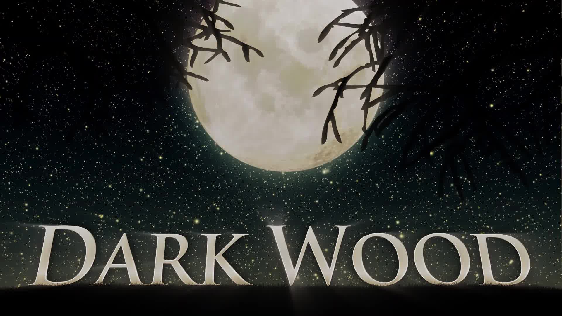 Dark Wood (Mogrt) Videohive 25586218 Premiere Pro Image 9