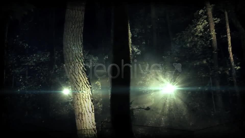 Dark Woods and Text Videohive 3225451 After Effects Image 1
