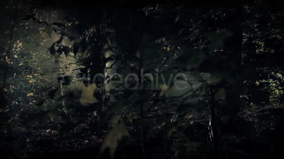 Dark Woods and Text Videohive 3225451 After Effects Image 12