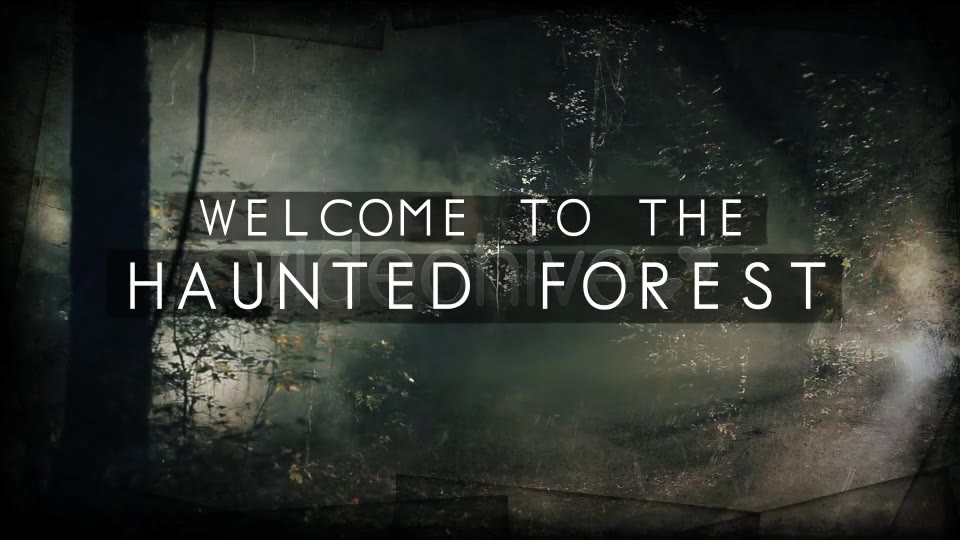 Dark Woods and Text Videohive 3225451 After Effects Image 2