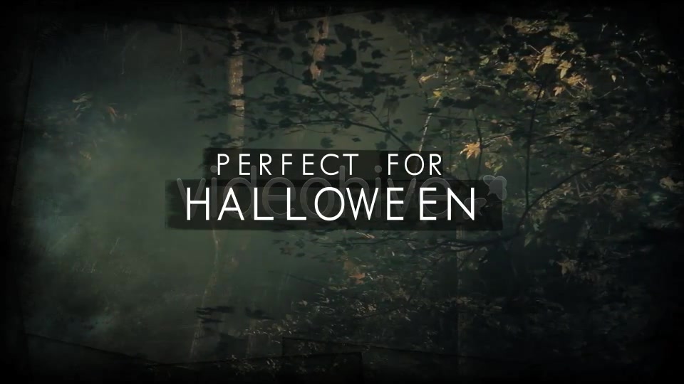 Dark Woods and Text Videohive 3225451 After Effects Image 6