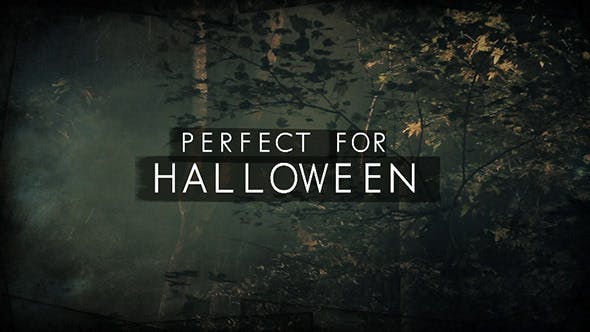 Dark Woods and Text - Download 3225451 Videohive