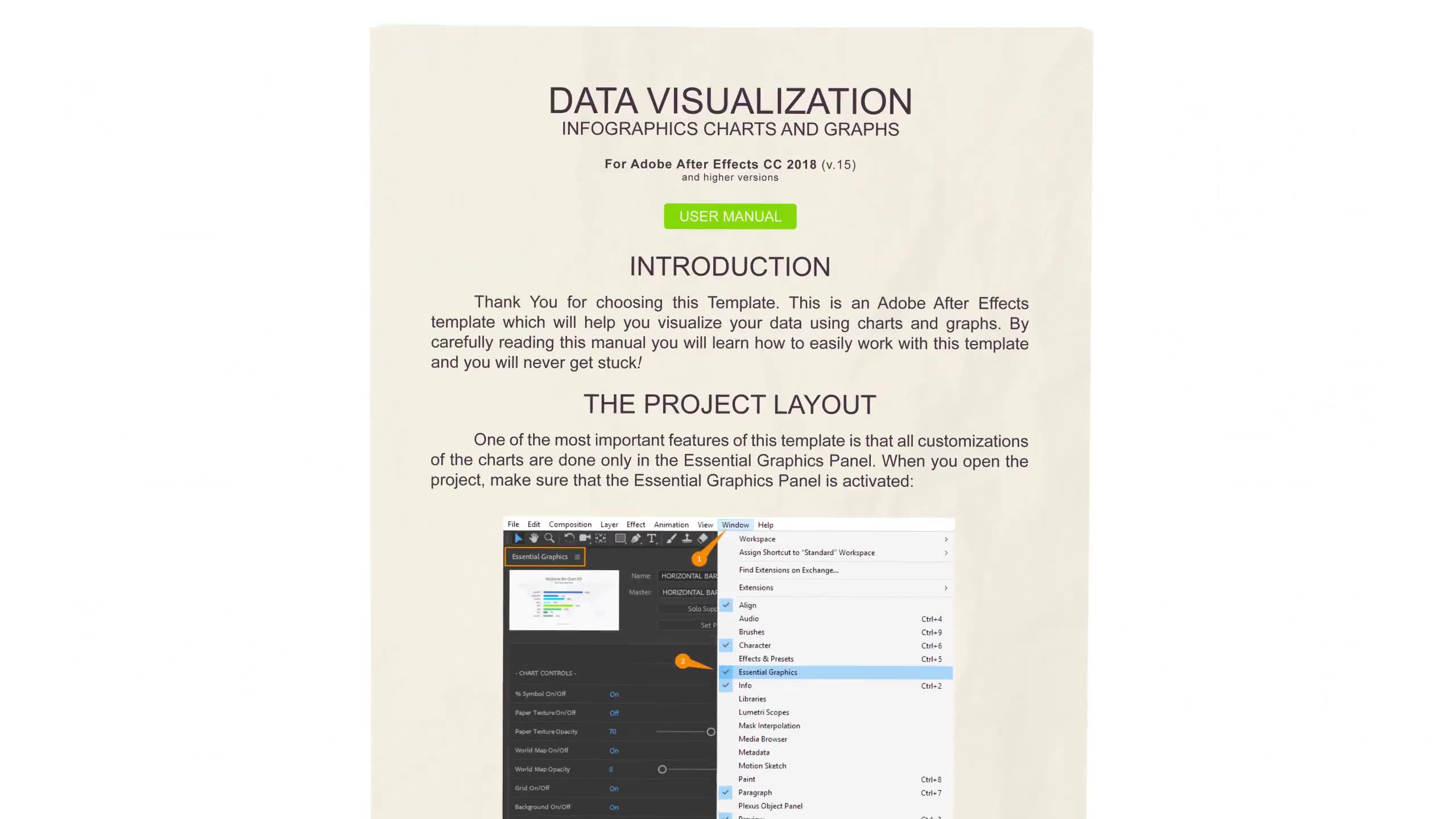 Data Visualization Infographic Charts and Graphs - Download Videohive 21788304