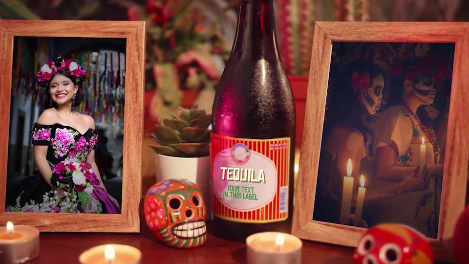 Day of the Dead Slideshow Videohive 34372558 After Effects Image 4