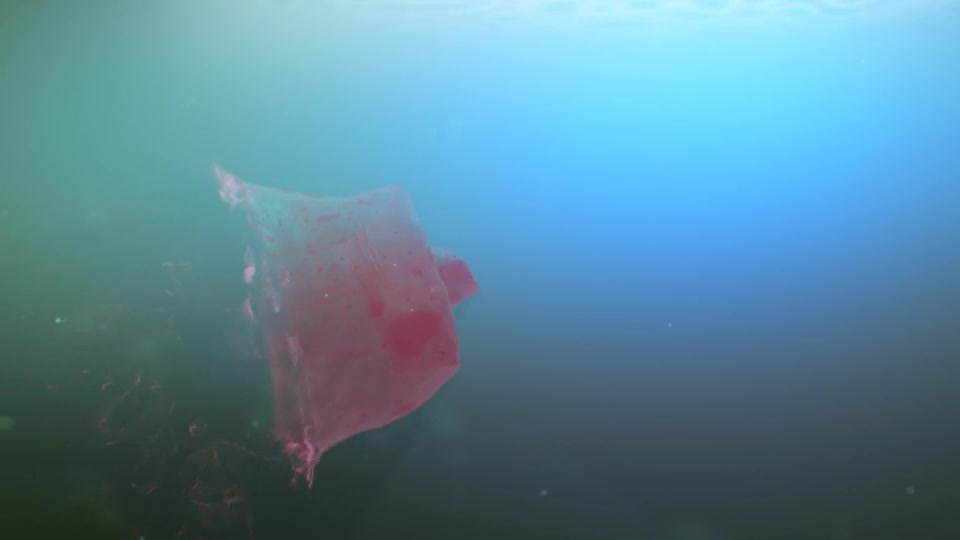Deep Sea Jellyfish Logo Reveal - Download Videohive 8030825