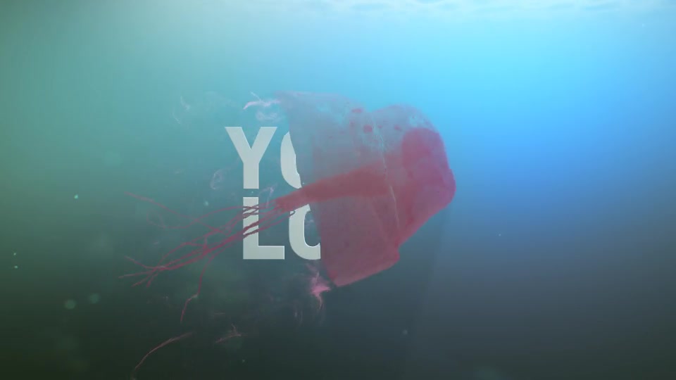 Deep Sea Jellyfish Logo Reveal - Download Videohive 8030825